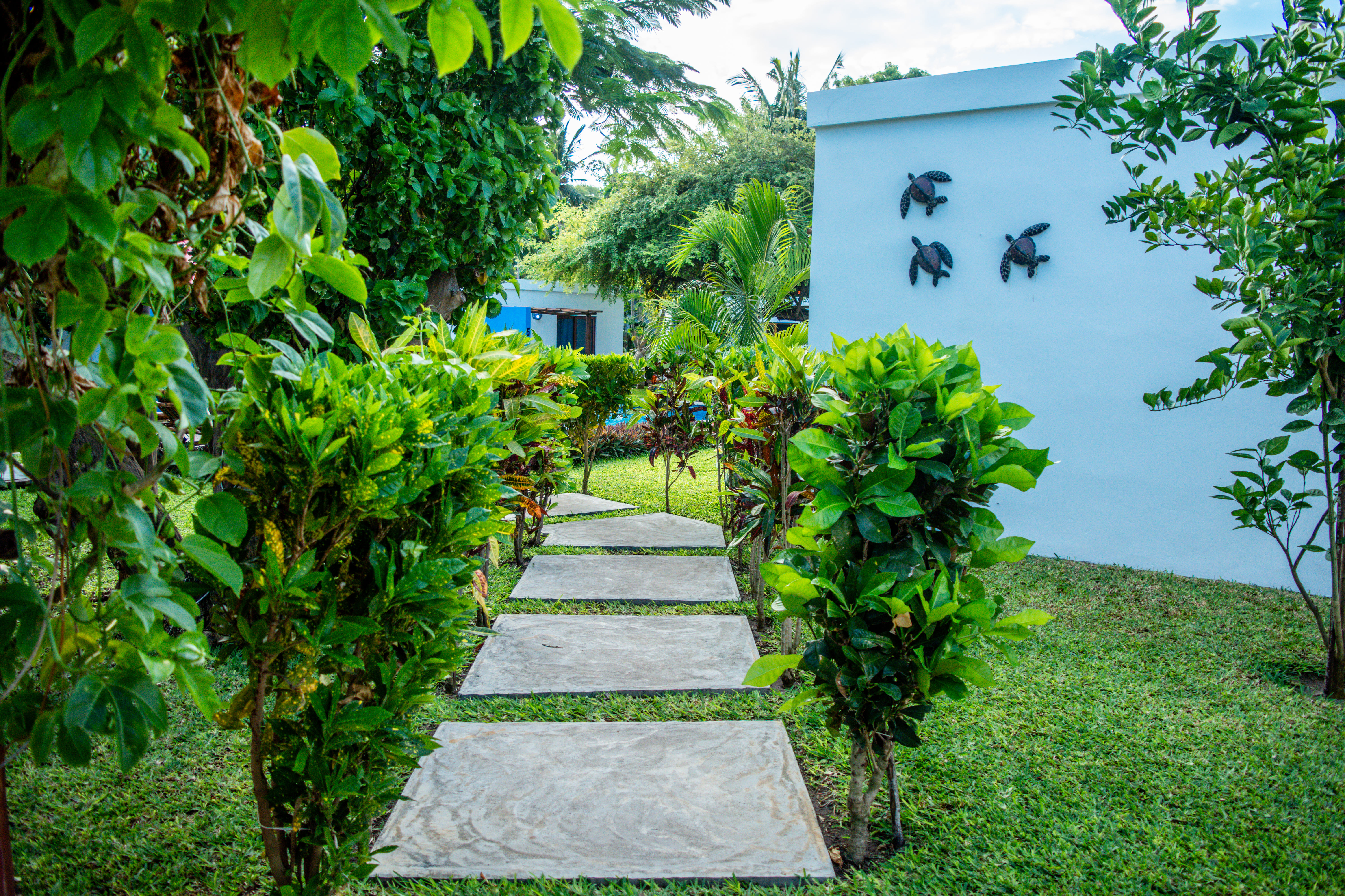 Jardim tropical e piscina do lodge
